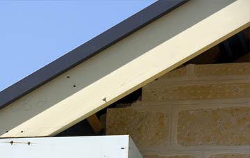 Sapley fascia repairs