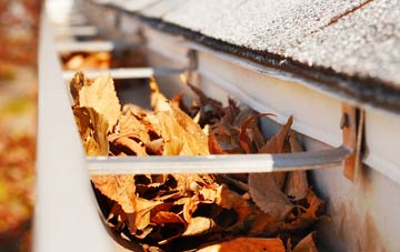 Sapley gutter cleaning companies