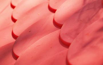 Sapley plastic roof costs