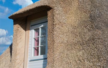 Sapley thatch roof disadvantages