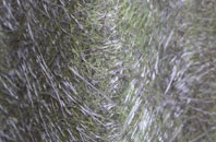 Sapley fibreglass roof work