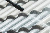 rated Sapley roof cleaning companies