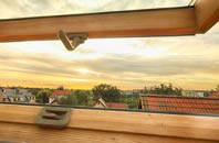 rated Sapley roof window companies